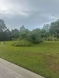 29523 Chapel Park Dr, Wesley Chapel, FL 33543