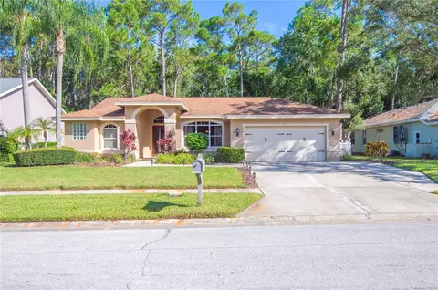 3417 Tanglewood Trl, Palm Harbor, FL 34685
