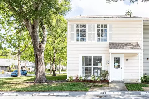 16175 Rambling Vine Dr E, Tampa, FL 33624