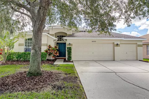 16325 Bridgeglade Ln, Lithia, FL 33547
