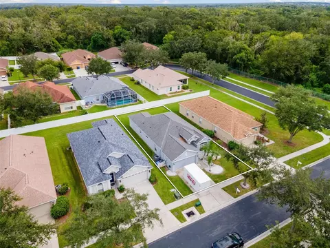 1005 Crystal Carbon Way, Valrico, FL 33594