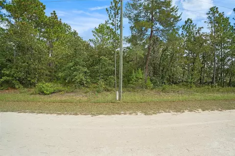 16246 Malden Rd, Brooksville, FL 34614