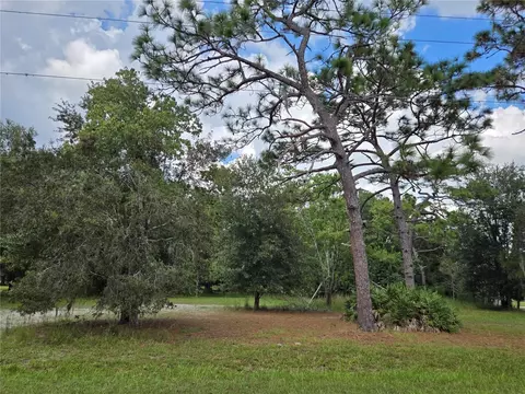 17901 Driftwood Ln, Lutz, FL 33558