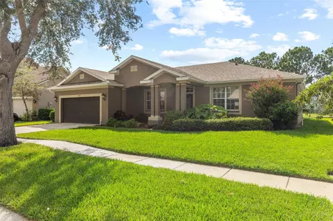 11016 Stone Branch Dr, Riverview, FL 33569