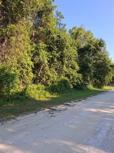 13414 Canyon Swallow Rd, Weeki Wachee, FL 34614