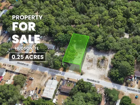 Madeline Drive, Hudson, FL 34667