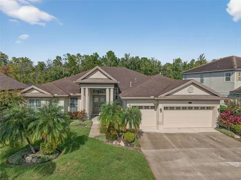 16032 Ivy Lake Dr, Odessa, FL 33556