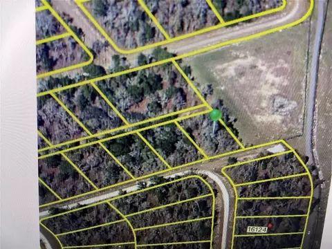 Sheldrake Loop, Brooksville, FL 34614
