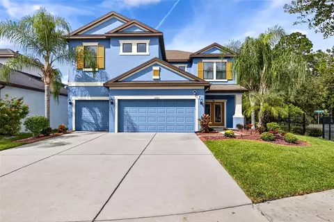 11303 Lazy Hickory Ln, Tampa, FL 33635