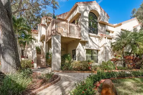 334 Los Prados Dr #421, Safety Harbor, FL 34695
