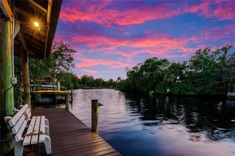 11526 River Country Dr, Riverview, FL 33569