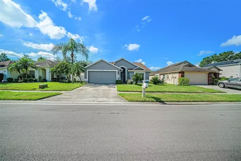 28438 Tall Grass Dr, Wesley Chapel, FL 33543