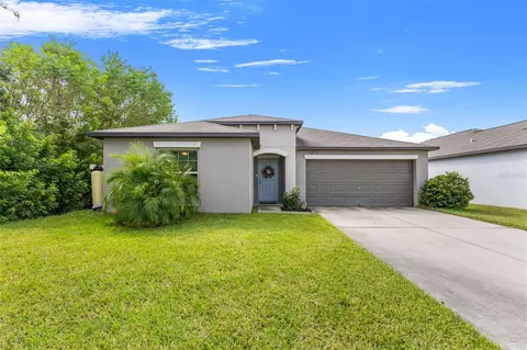 3802 Daisy Bloom Pl, Tampa, FL 33619
