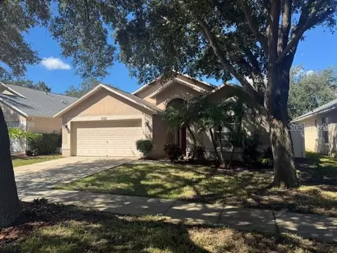 7021 Colony Pointe Dr, Riverview, FL 33578