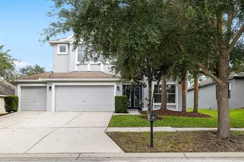 15629 Starling Water Dr, Lithia, FL 33547