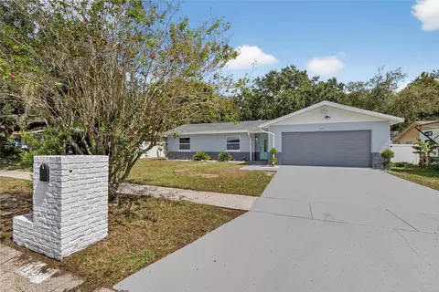 1115 Bristolwood St, Brandon, FL 33510