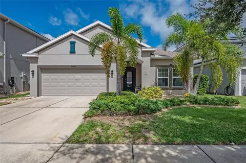 10457 Flagstaff Falls Ave, Riverview, FL 33578