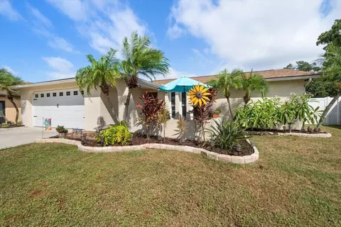 4236 Riverwood Dr, New Port Richey, FL 34653
