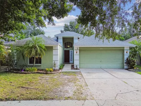 5646 Paddock Trail Dr, Tampa, FL 33624