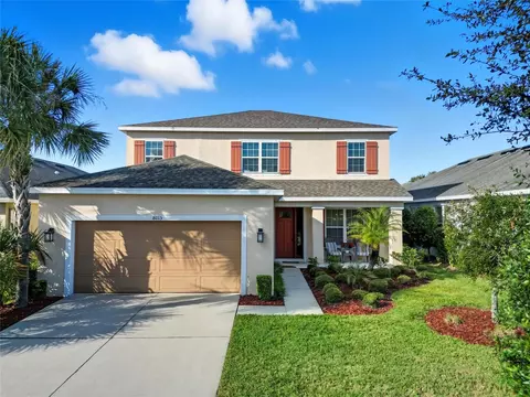 8015 Marbella Creek Ave, Tampa, FL 33625