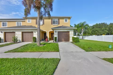 20484 Needletree Dr, Tampa, FL 33647
