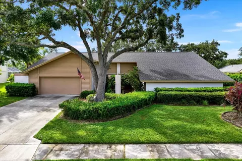 4312 Middle Lake Dr, Tampa, FL 33624