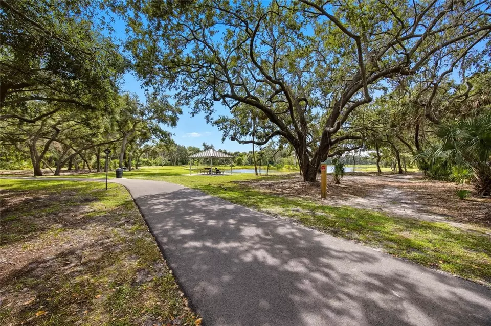 Other - 6236 S Martindale Ave, Tampa, FL 33611 photo 6 of 10