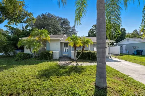 7923 Woodvine Cir, Tampa, FL 33615