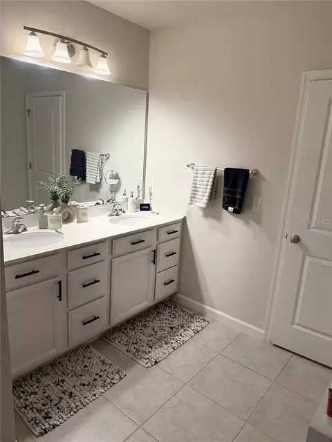 Bath - 10516 Daybreak Gln, Parrish, FL 34219 photo 1 of 4
