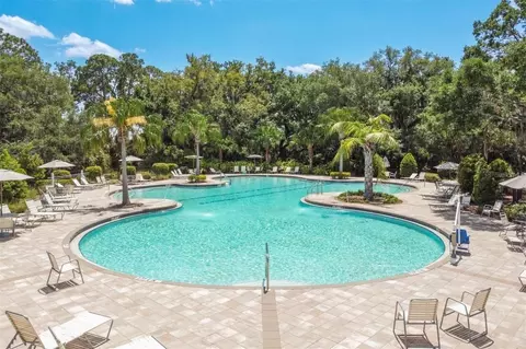 Exterior - 10516 Daybreak Gln, Parrish, FL 34219 photo 4 of 4