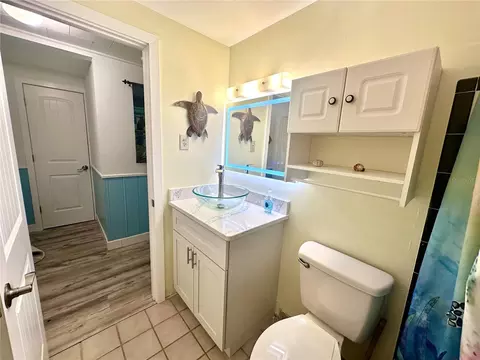 Bath - 4016 Eagle Nest Dr, Hernando Beach, FL 34607 photo 1 of 2