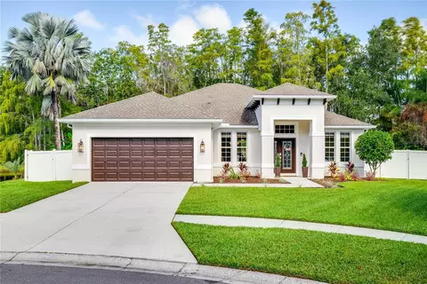 15925 Country Farm Pl, Tampa, FL 33624