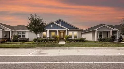 3633 Persimmon Park Dr, Wesley Chapel, FL 33543