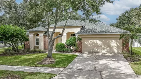 9402 Azalea Ridge Cir, Tampa, FL 33647