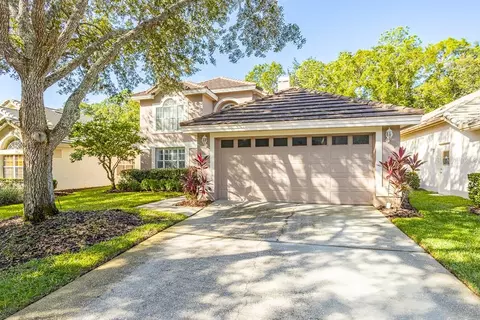 17708 Nathans Dr, Tampa, FL 33647