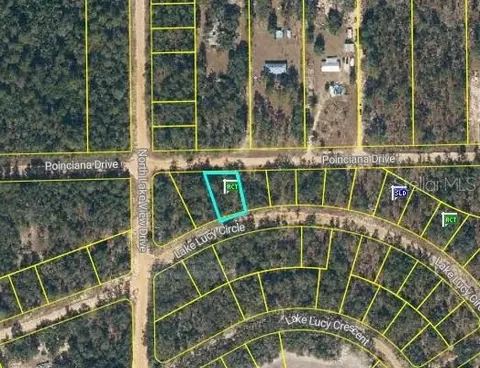 Unassigned Rd, Interlachen, FL 32148 photo 6
