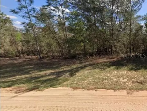 Unassigned Rd, Interlachen, FL 32148 photo 2
