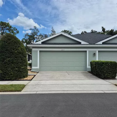 10717 Ashford Oaks Dr, Tampa, FL 33625