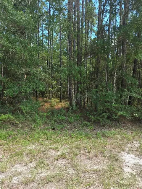 14126 Ricebird Ave, Brooksville, FL 34614