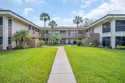 2700 Nebraska Ave #2-203, Palm Harbor, FL 34684