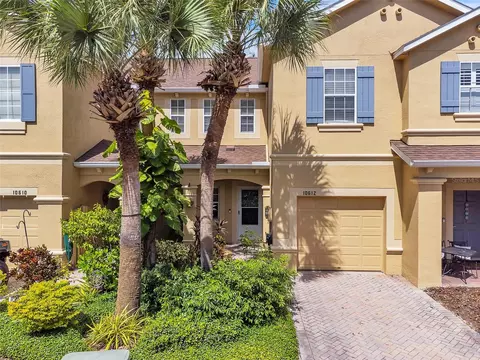 10612 Shady Falls Ct, Riverview, FL 33578 photo 1