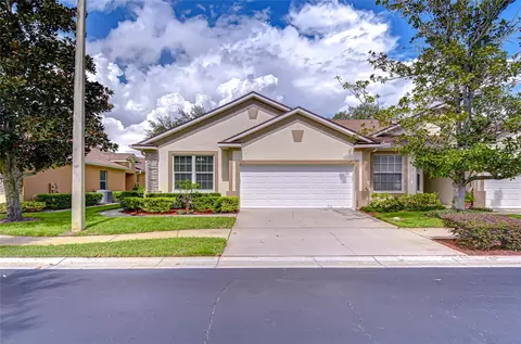 1116 Savannah Landings Ave, Valrico, FL 33596