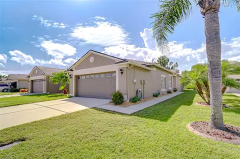 1131 Wrightswynde Ct, Wesley Chapel, FL 33543