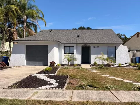 12329 Witheridge Dr, Tampa, FL 33624