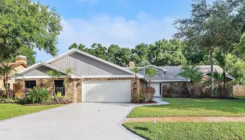 3357 Pattie Pl, Palm Harbor, FL 34685