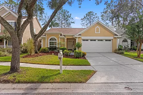 9415 Oak Meadow Ct, Tampa, FL 33647