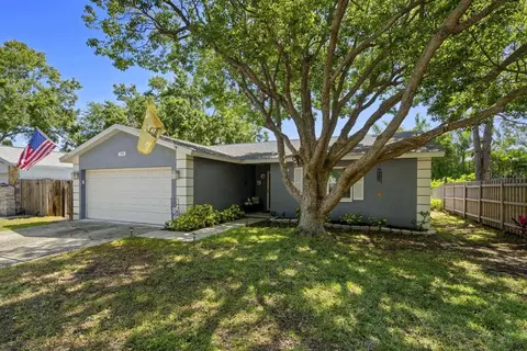 1393 Chesterfield Dr, Dunedin, FL 34698