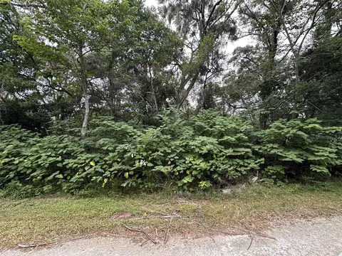 Jenkins Avenue, Brooksville, FL 34604