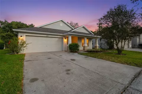 6809 Bluff Meadow Ct, Wesley Chapel, FL 33545