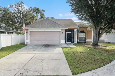 4704 Stove Pl, Valrico, FL 33596